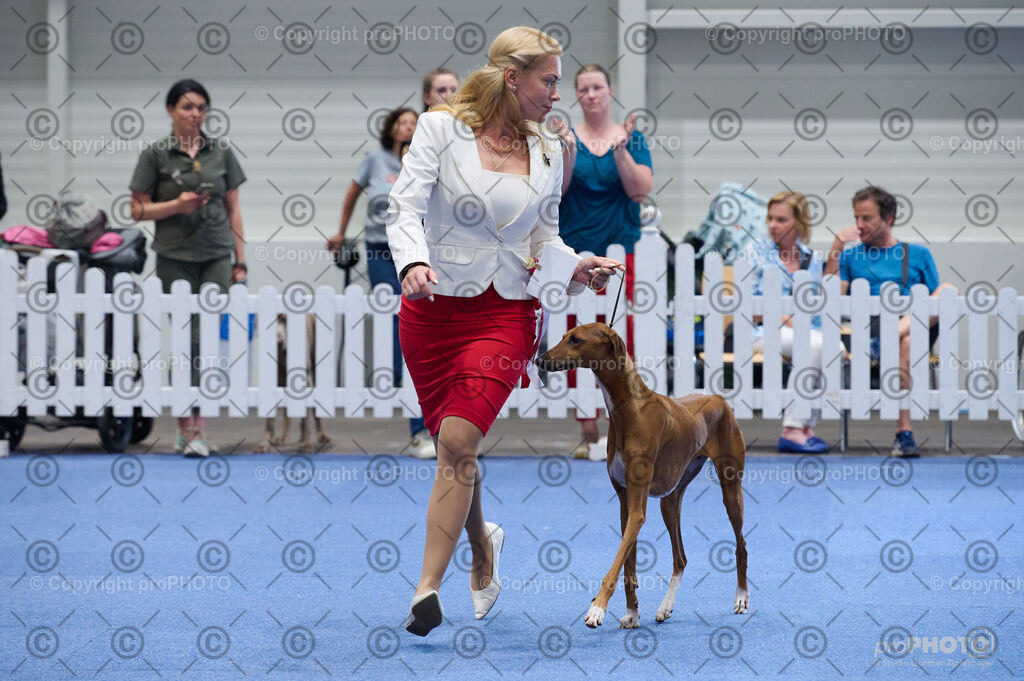 202406_ÖKV-IHA-Tulln24_DSC_5228 | proPHOTO - Realisiert mit Pictrs.com