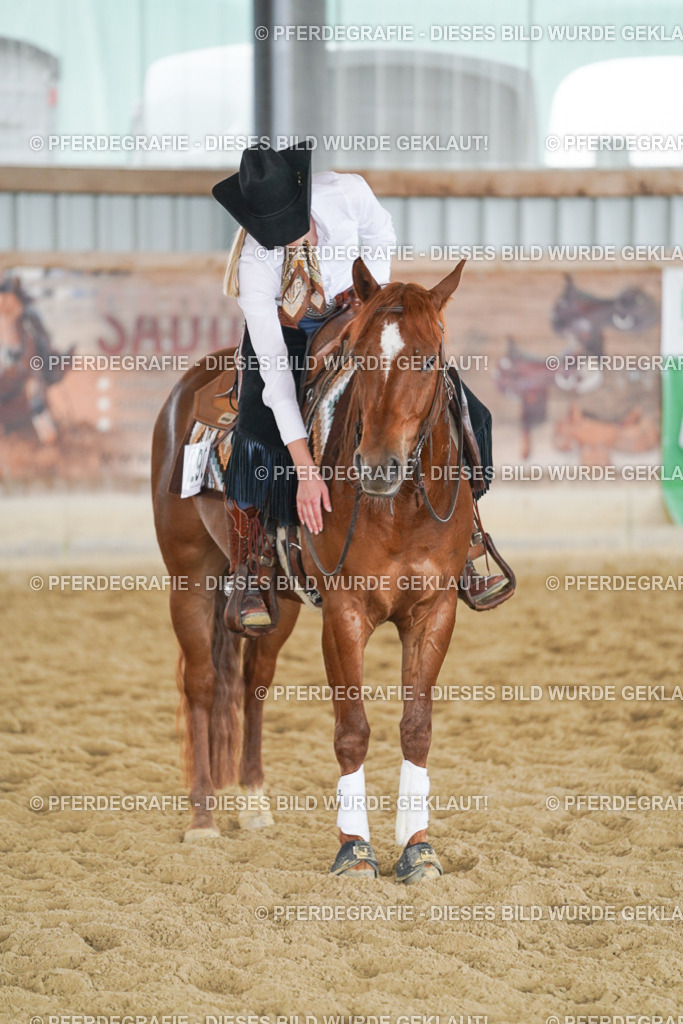 DSC06453 | Pferdegrafie