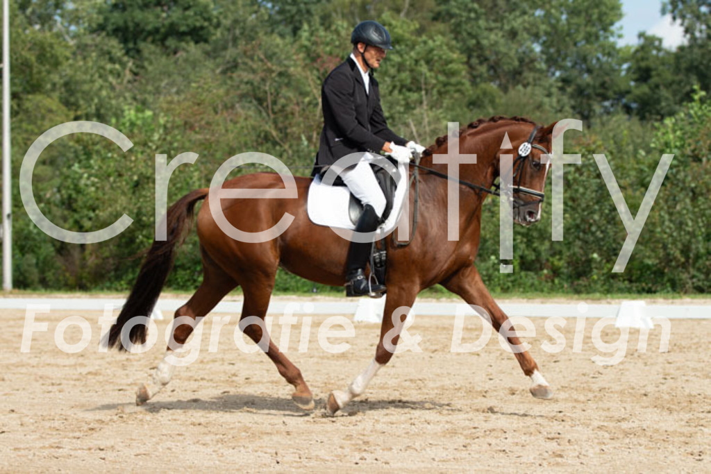 IMG_3323 | Creatify Fotografie