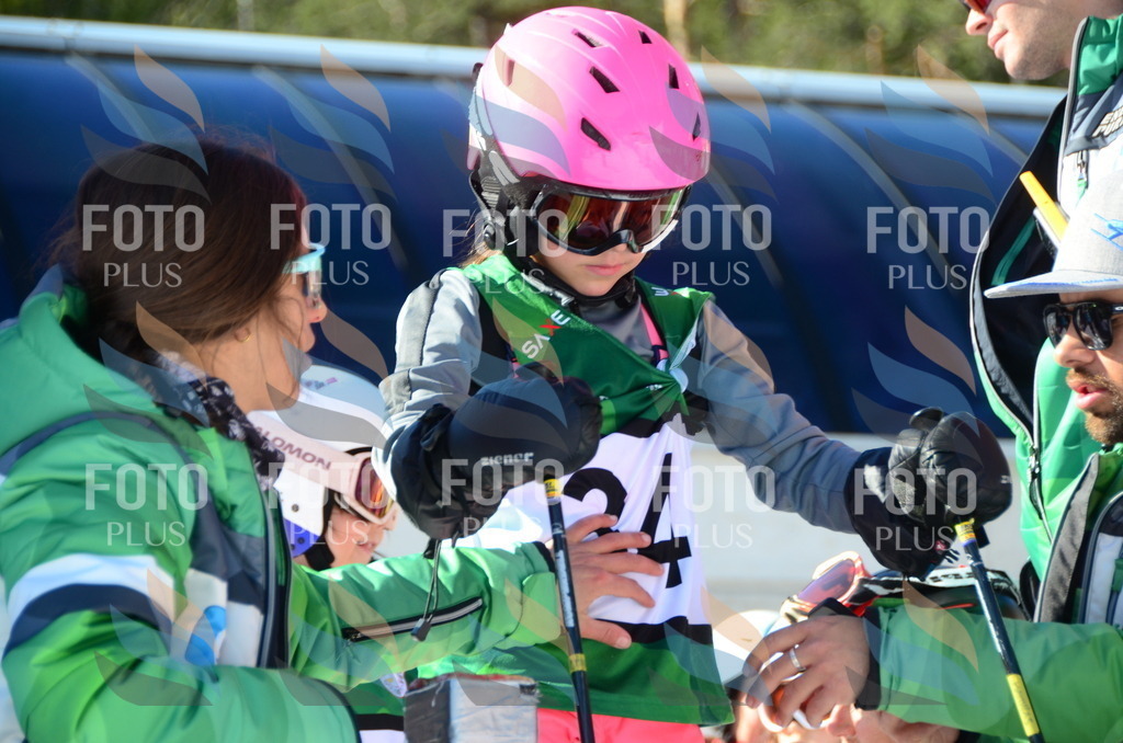 C4939 | holidayphoto