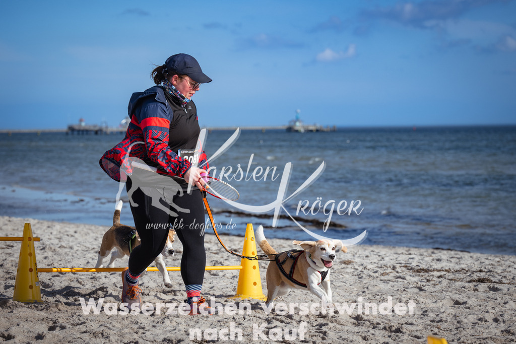 1332_ZZ91745 | kk-dogfotos