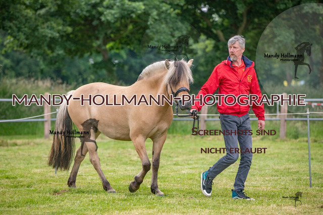 IMG_9918 | mandyhollmannphotographie