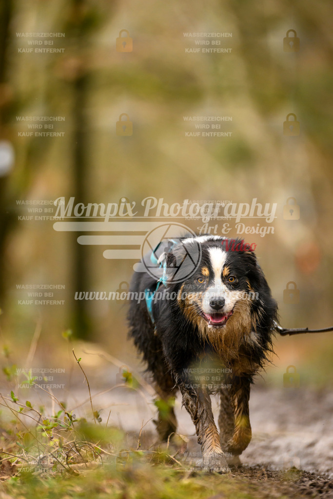 MompixPhotography_CDSM24_SA_CCL-232 | PayLife