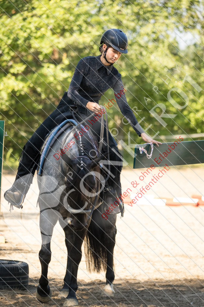 IMG_7661 | Sport-, Event- und Tierfotos in Profiqualität. Einfach auswählen, bestellen und herunterladen. Dein Moment – perfekt festgehalten.