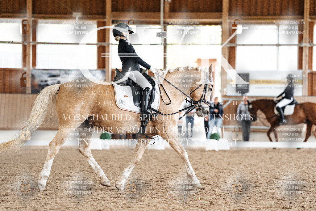 CK900523 | Turnierfotografie Pferdefotografie Trier Rheinland-Pfalz Pferdesport Reitsport Tierfotografie Sportfotografie Pferdevideo Pferdevideografie Equestrianvideography equestrianphotography  - Realized with Pictrs.com