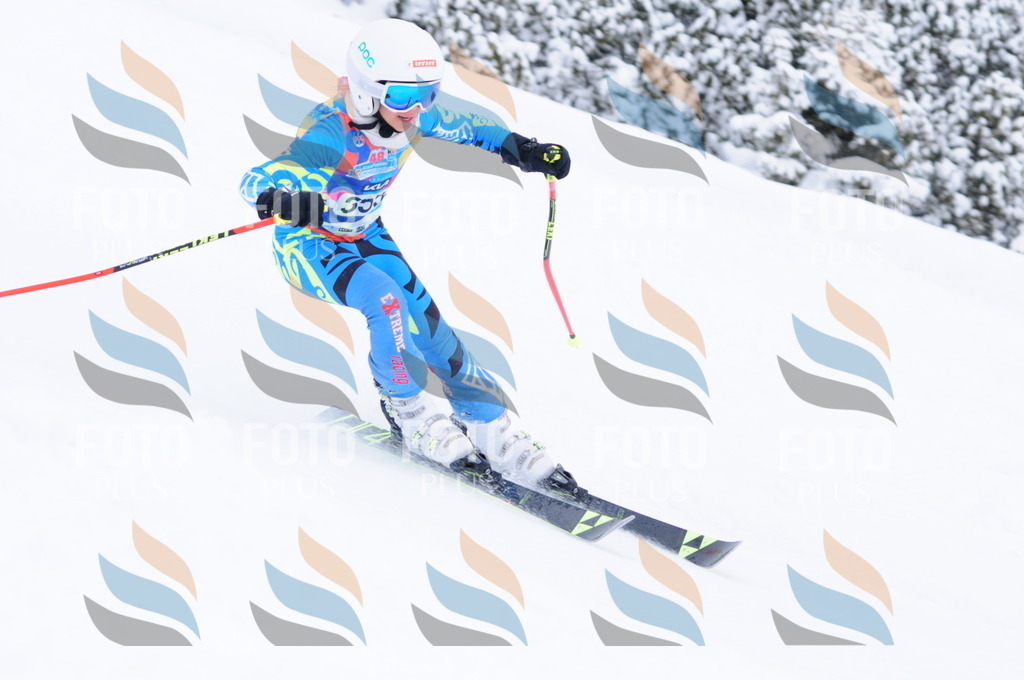 C3797 | holidayphoto