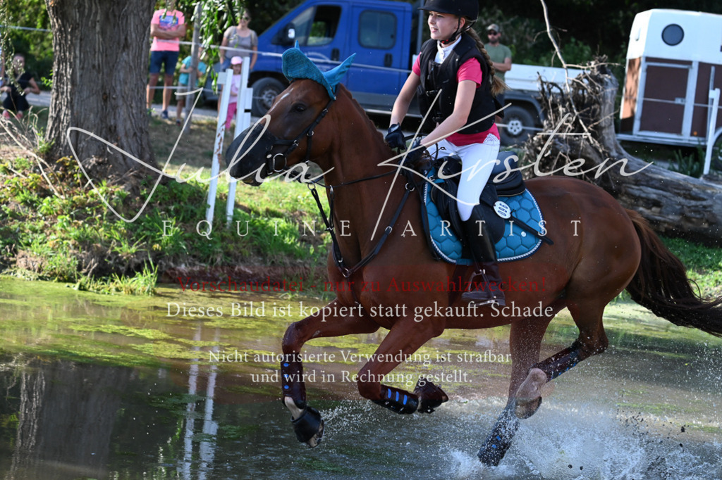 DSC_8932 | Pferde- und Turnierfotografie in Westsachsen. Pferdeportraits, Auftragszeichnungen und intuitive Kunst.