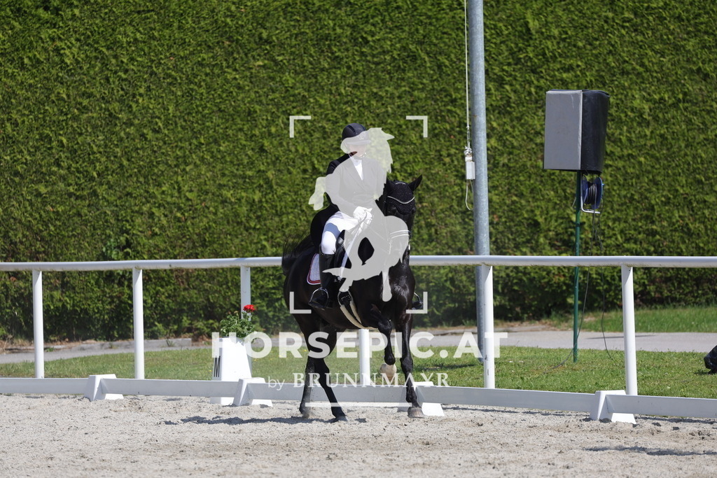 0P6A2990 | Willkommen bei Brunnmayr - Design & Fotografie – Ihrem Spezialisten für Reitturniere und Pferdeveranstaltungen in Oberösterreich, Salzburg und Bayern! Seit über 17 Jahren sind wir leidenschaftlich dabei.