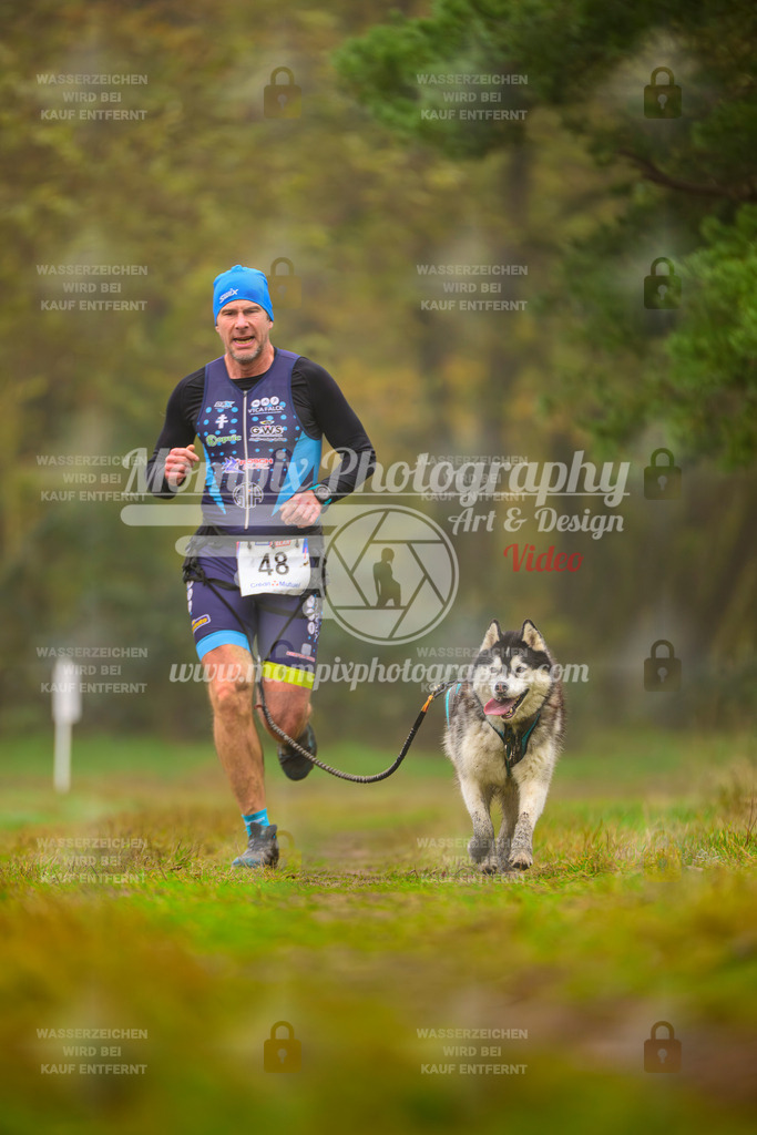 MompixPhotography_Bischwiller2025_Canicross-160 | mompixphotography