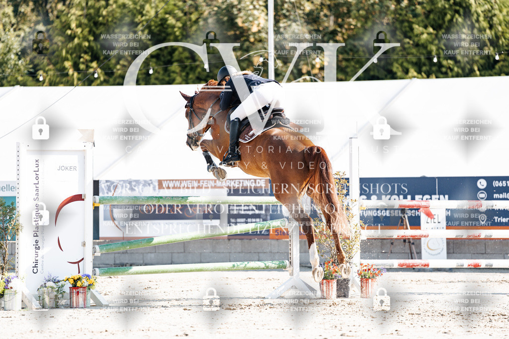 CK902009 | Turnierfotografie Pferdefotografie Trier Rheinland-Pfalz Pferdesport Reitsport Tierfotografie Sportfotografie Pferdevideo Pferdevideografie Equestrianvideography equestrianphotography  - Realisiert mit Pictrs.com