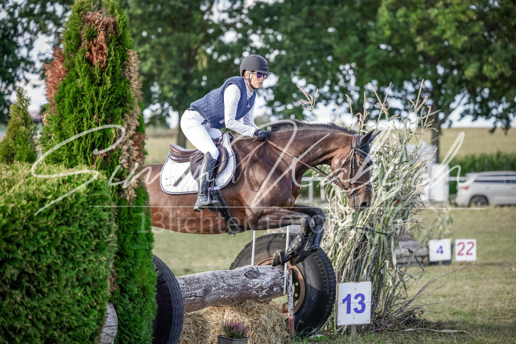 20250906-_3LI7491 | Tierfotografie Pferde, Hunde, Katzen, Haustiere.
Turnierfotografie Reitturniere, Reiten, Springreiten, Dressur in Hanau, dem Main-Kinzig-Kreis und dem Rhein-Main- Gebiet um Frankfurt