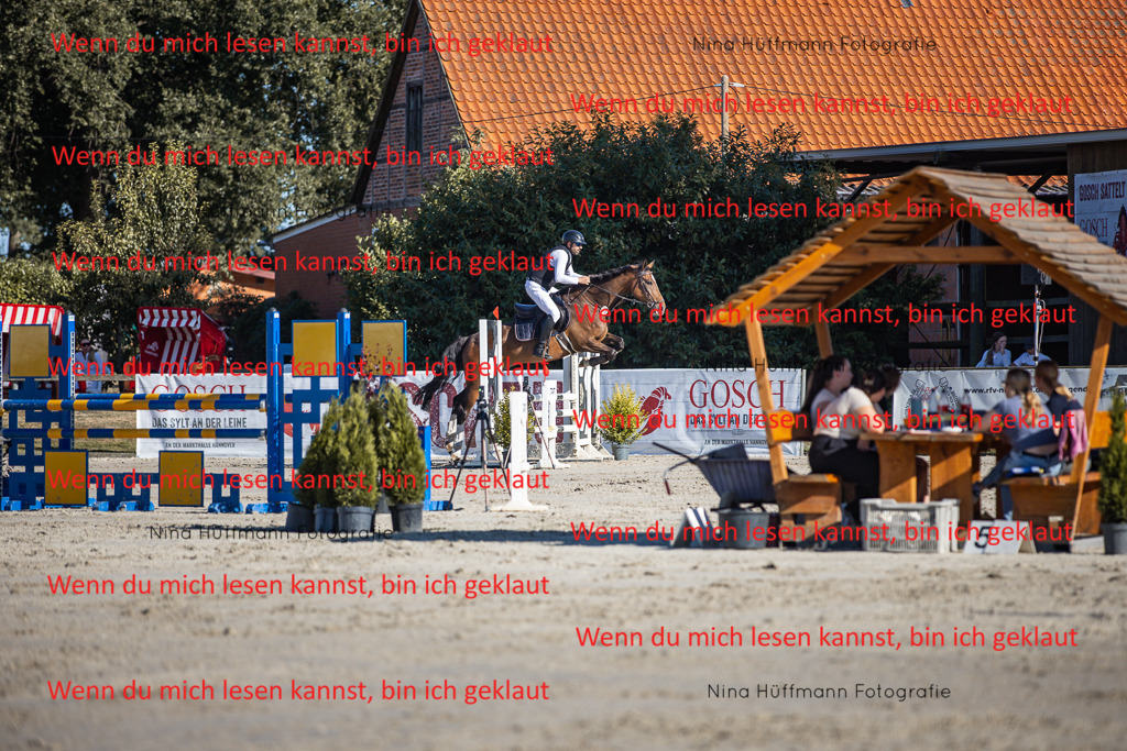 BK1A7460 | Turnierbilder Turnierfotos Nina Hüffmann Turnierfotografie Pferdefotografie Tierzeichnung Haustierzeichnung Pferdezeichnung Hundezeichnung Videograf  - Realisiert mit Pictrs.com