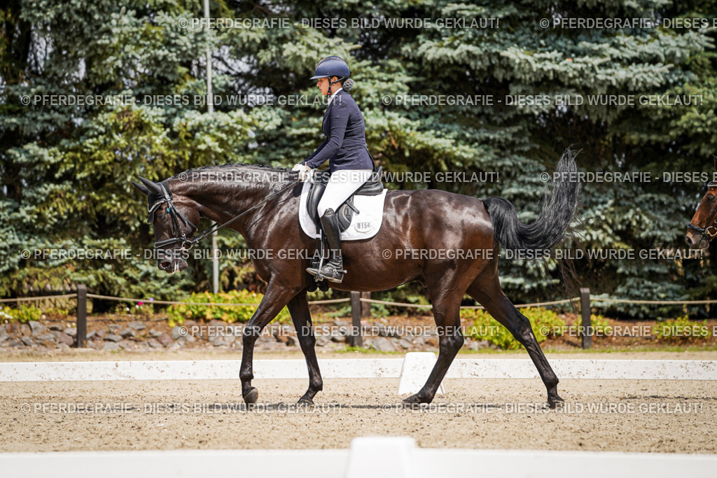 DSC02869 | Pferdegrafie