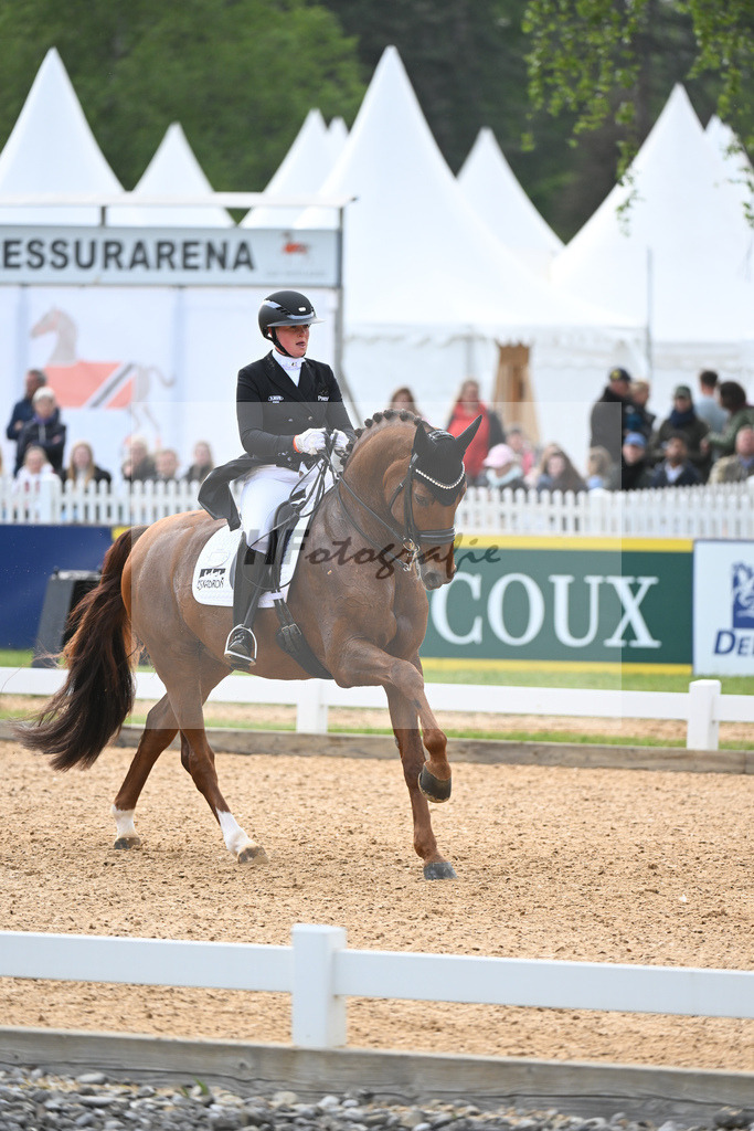 Hemmer_Denoix PCH_11232860 | hf-fotografie - Realisiert mit Pictrs.com