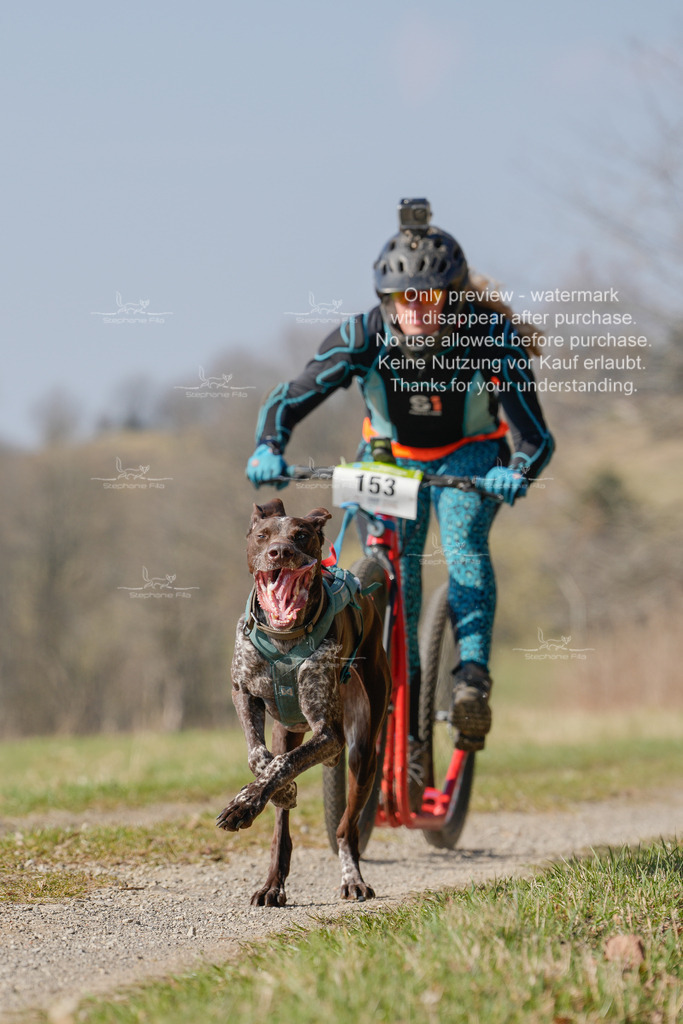 Scooter_Lang-80 | stephaniefillaphotographie - Realisiert mit Pictrs.com