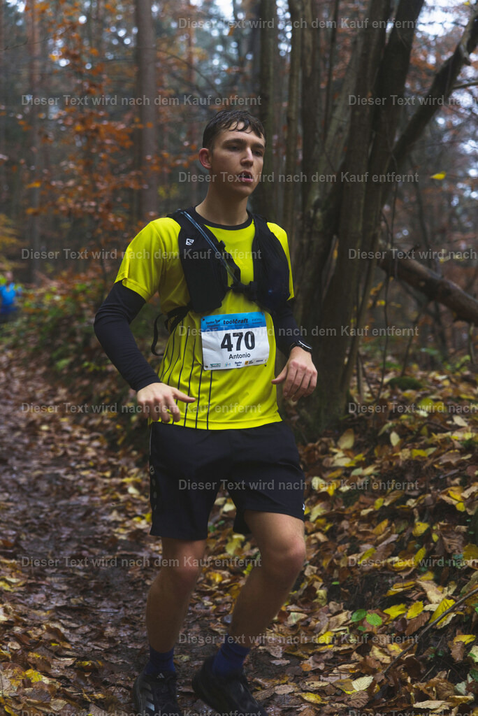 cineathletes-huegelland-2025-11-09-11-00-40 | Sportfotografie rund um Obstacle Course Racing und Trail Run - Realisiert mit Pictrs.com