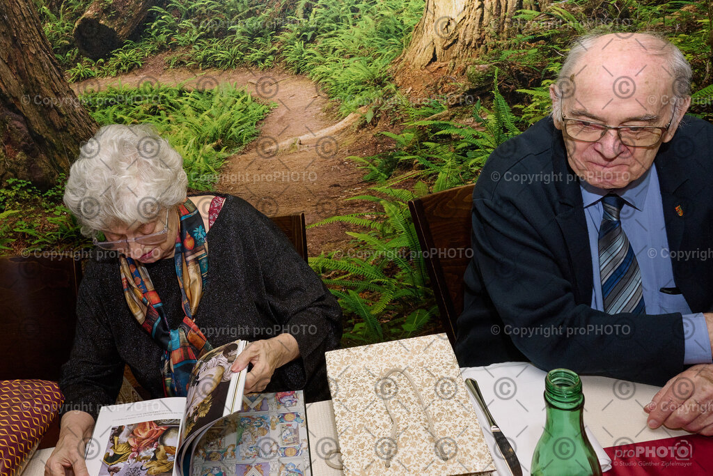 021_2026_60-Hochzeitstag-Wenzel_NZ9_6712 | proPHOTO - Realisiert mit Pictrs.com