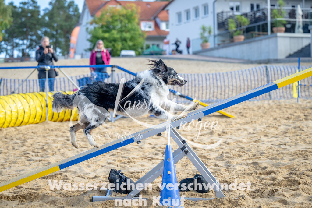0958_ZZ93263 | kk-dogfotos