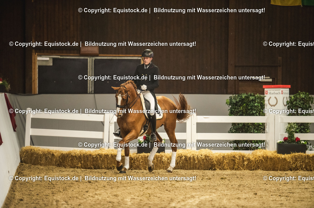 20240302_Hengstvorstellung_Marbach_TOMsPiC_0932 | equistock