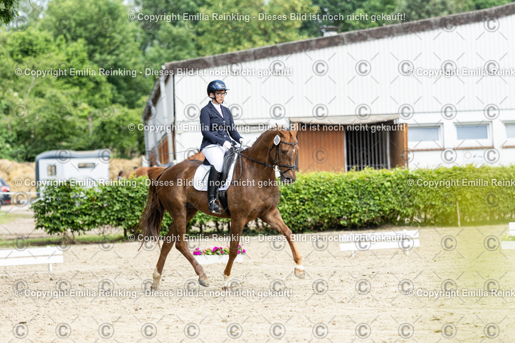 CL5A4938-2 | Emilia Reinking Fotografie - Realisiert mit Pictrs.com