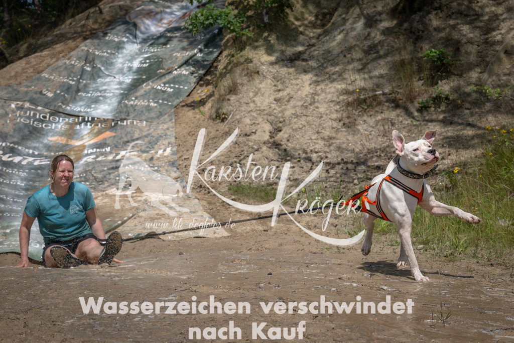 1446_ZZ90762 | kk-dogfotos