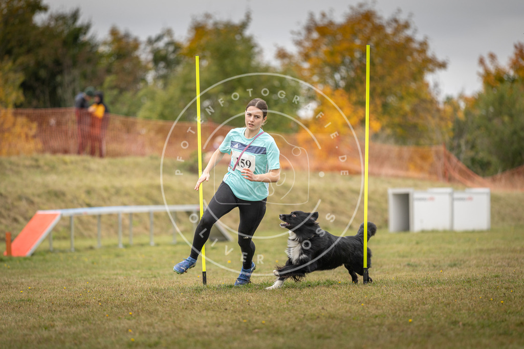 Pfotenfotografie_DV3A5103 | Hundefotografie, Tierfotograf, Pfotenfotografie, Fotoshooting Hund, Hunde Portrait, Hundesport, Hundeportraits, Heideshooting, Hunde, Sportfotograf, Hundefotograf, Turnierhundsport, THS,  - Realisiert mit Pictrs.com