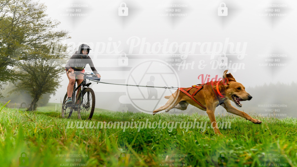 MompixPhotography_20TSB_E5_Bike-114 | PayLife