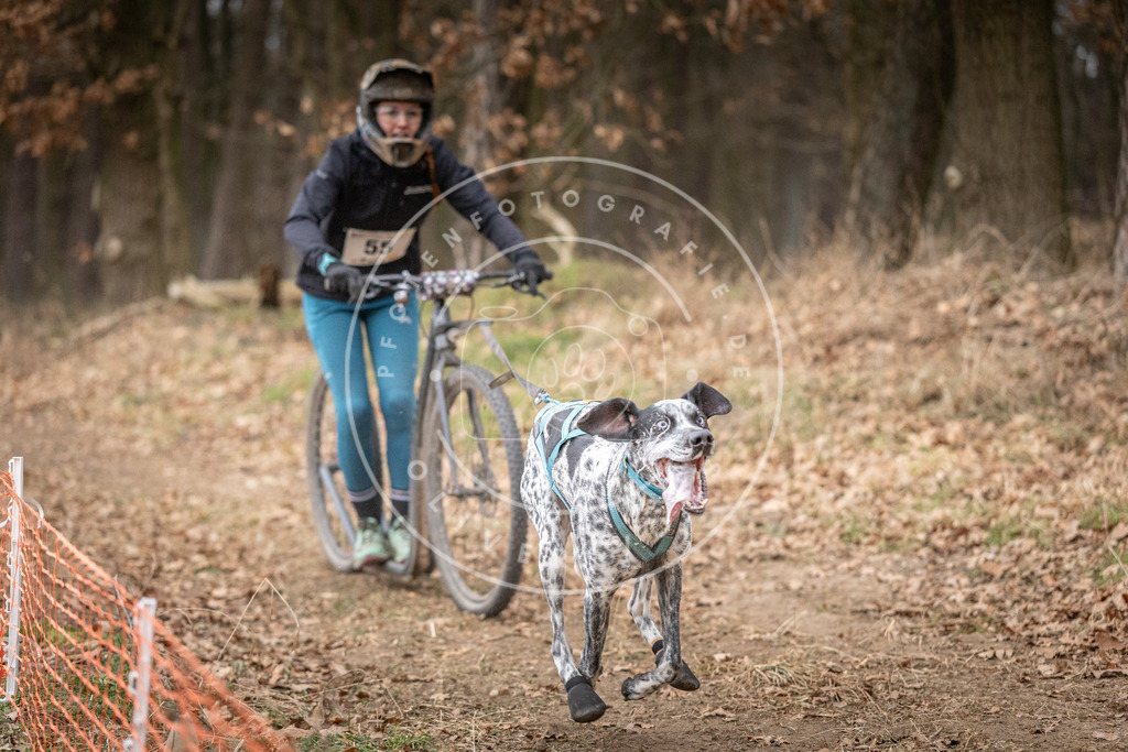 Pfotenfotografie_DV3A1461 | Hundefotografie, Tierfotograf, Pfotenfotografie, Fotoshooting Hund, Hunde Portrait, Hundesport, Hundeportraits, Heideshooting, Hunde, Sportfotograf, Hundefotograf, Turnierhundsport, THS,  - Realisiert mit Pictrs.com