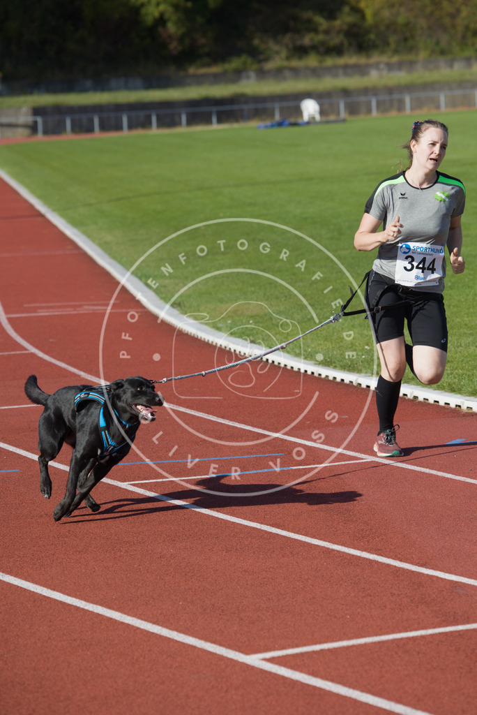 0L8A9280 | Hundefotografie, Tierfotograf, Pfotenfotografie, Fotoshooting Hund, Hunde Portrait, Hundesport, Hundeportraits, Heideshooting, Hunde, Sportfotograf, Hundefotograf, Turnierhundsport, THS,  - Realisiert mit Pictrs.com