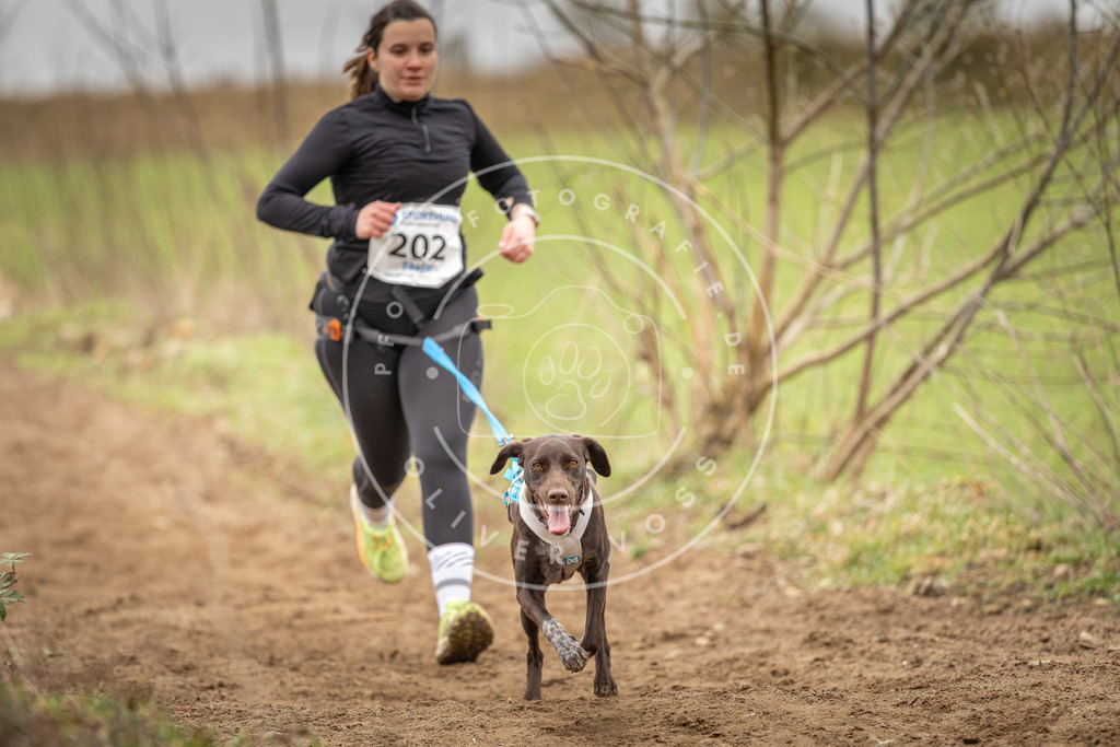 DV3A2516 | Hundefotografie, Tierfotograf, Pfotenfotografie, Fotoshooting Hund, Hunde Portrait, Hundesport, Hundeportraits, Heideshooting, Hunde, Sportfotograf, Hundefotograf, Turnierhundsport, THS,  - Realisiert mit Pictrs.com