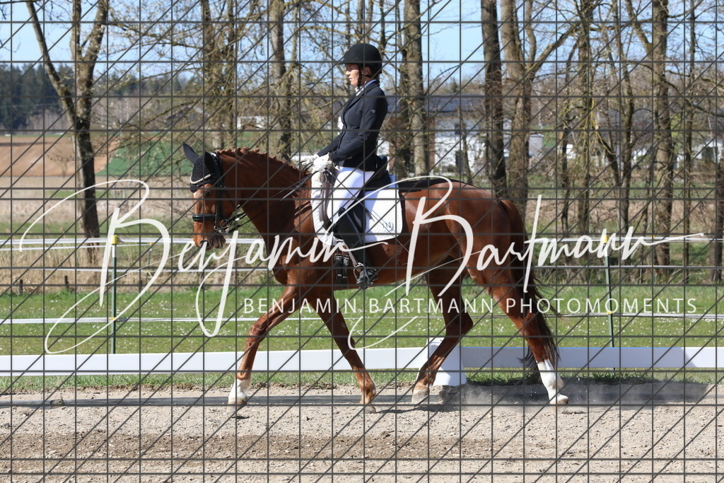 AZ2A4889 | Benjamin Bartmann Photomoments