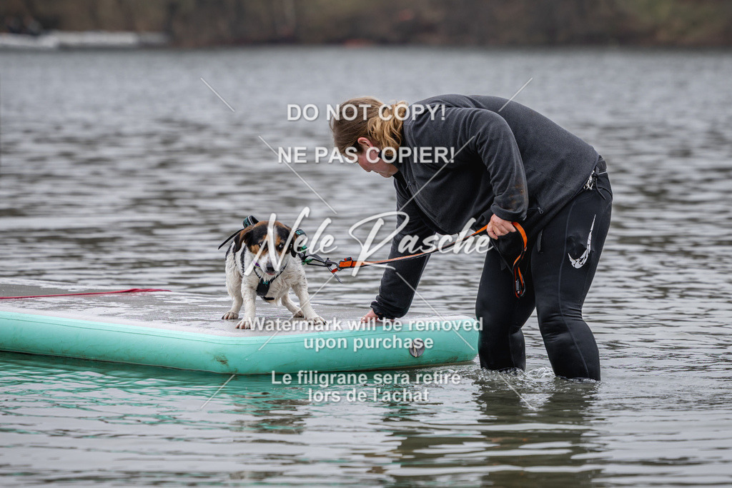 nelerasche_Hulsbeek_Sa1330-1430_546 | nelerasche
