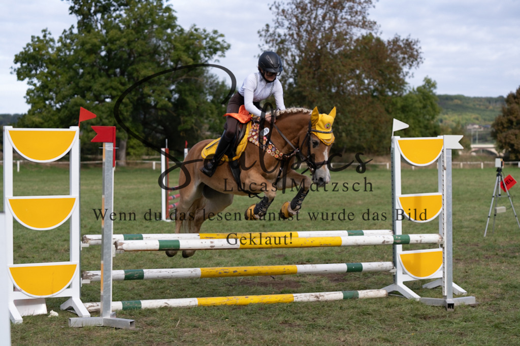 A7V06464 | Pferdefotograf