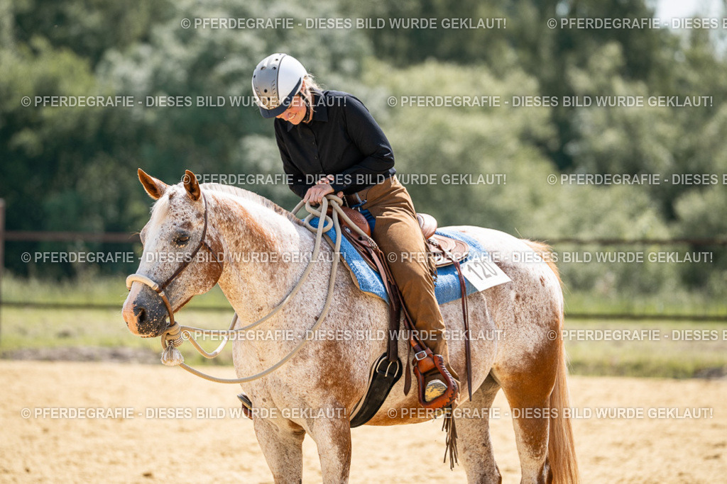 DSC00873 | Pferdegrafie