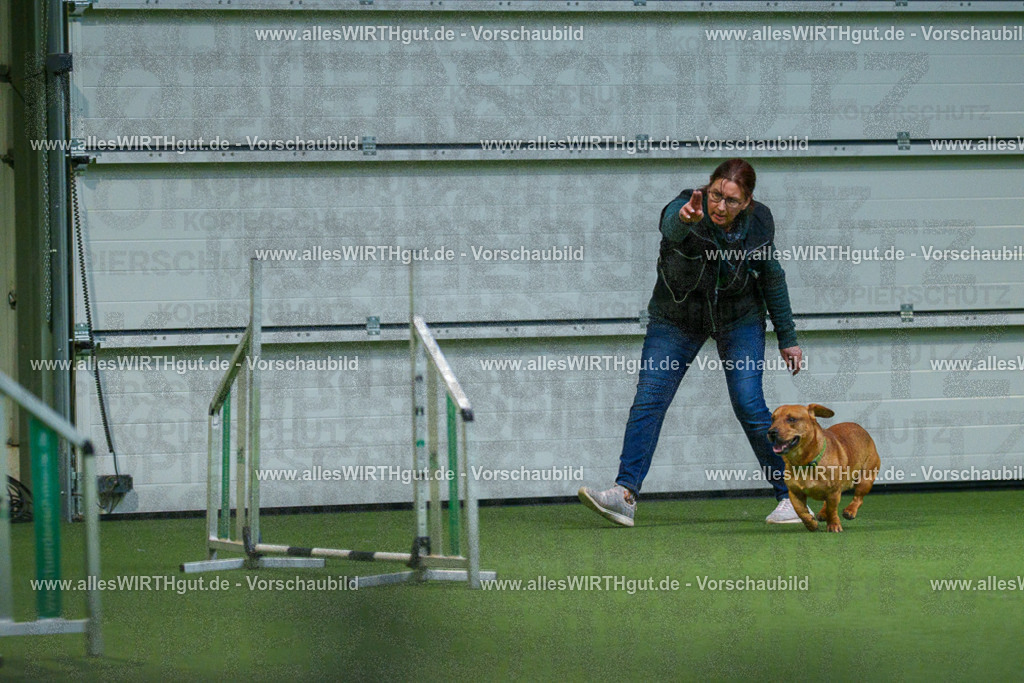 7R507184 | Professionelle Tierfotografie in Mönchengladbach von Daniel Wirth (allesWIRTHgut). Liebevolle & natürliche Bilder von Hunden & Katzen für unvergessliche Erinnerungen.