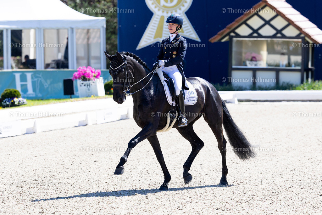 TH_550-For Future W FRH-Averkorn_ Claire-Louise_28012 | Horses &amp; Dreams 2025 am 27.04.25 in Hagen a.T.W., Thomas Hellmann, 550For Future W FRHAverkorn, Claire-Louise