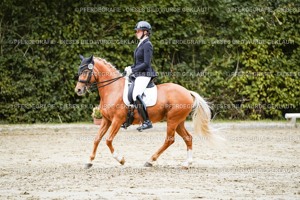 DSC04065 | Pferdegrafie