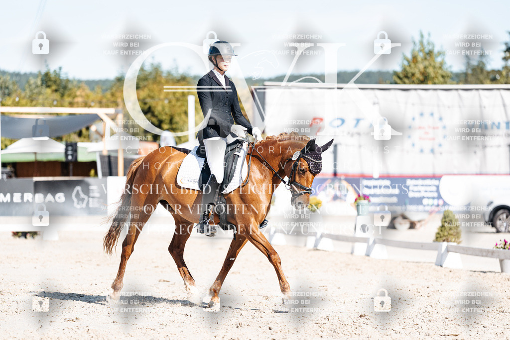 CK907863 | Turnierfotografie Pferdefotografie Trier Rheinland-Pfalz Pferdesport Reitsport Tierfotografie Sportfotografie Pferdevideo Pferdevideografie Equestrianvideography equestrianphotography  - Realisiert mit Pictrs.com