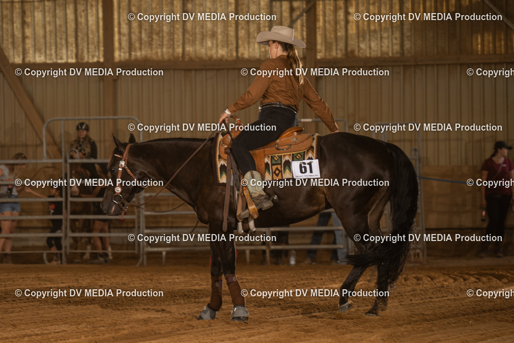 NID03802 | dv-media-shop - Realisiert mit Pictrs.com