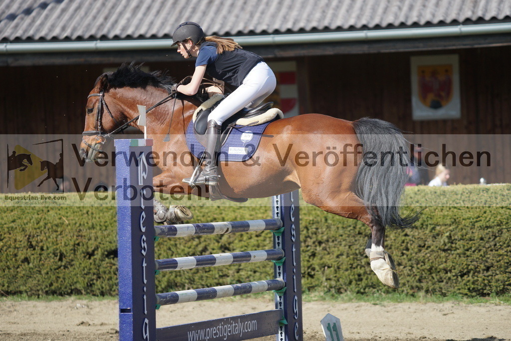 DSC03283 | equestrian-live-com