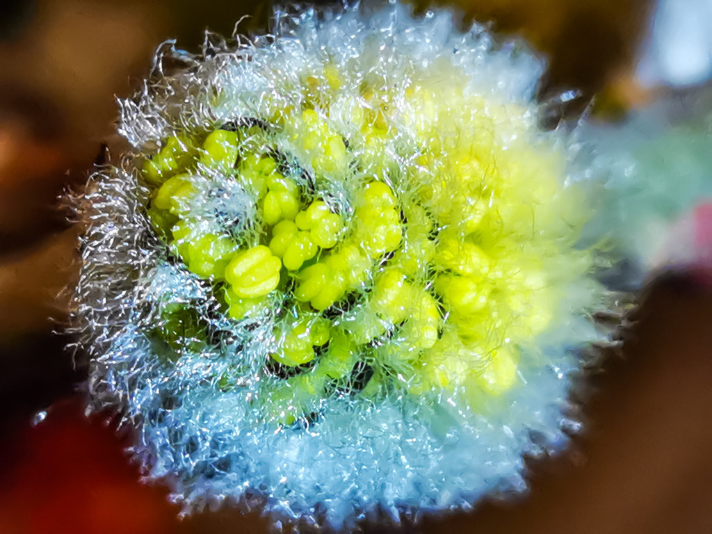 PSX_20230226_231531 | mtkfoto_ - Realisiert mit Pictrs.com