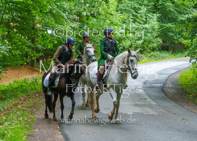 Jagd Kletkamp 26-02785_MarinaHewig | Fotografie, FotoArt, PferdesportArt, Pferdesportfotografie, Landschaftsfotografie, Reisefotografie, Reise, Pferde - Realisiert mit Pictrs.com
