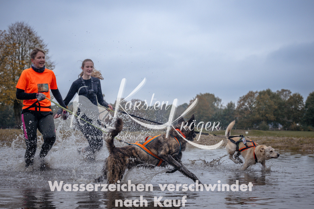 1201_ZZ97915 | kk-dogfotos