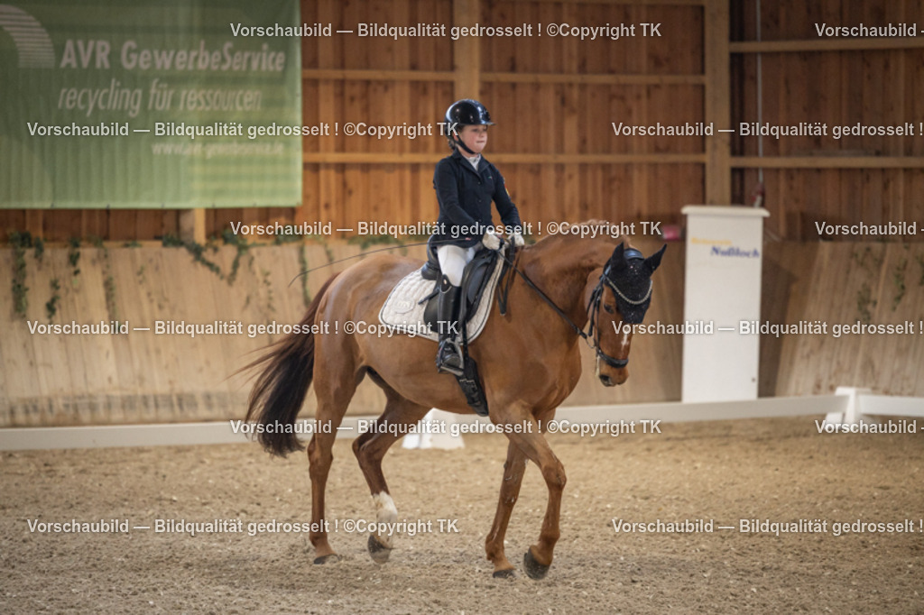 _D5A1065 | Emotionale Pferde- & People-Fotografie rund um Heidelberg, Leimen & Umgebung. Natürliche Fotos von Pferd, Mensch & Familie. Jetzt Termin sichern!