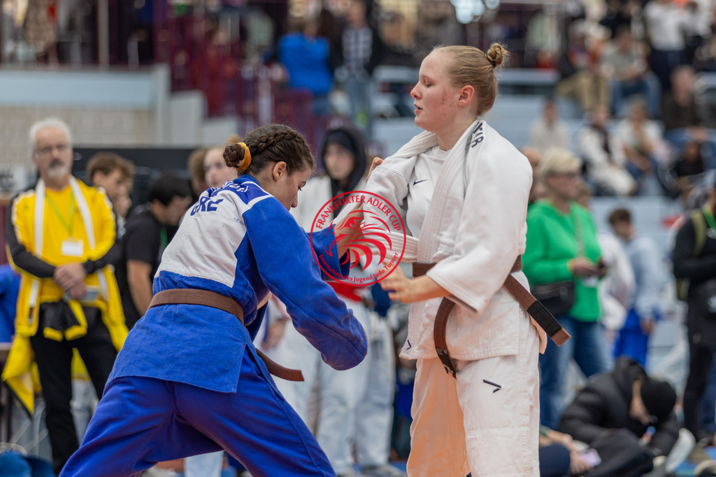 Internationaler Adler Cup 2024 | Foto vom Internationalen Adler Cup Judo Turnier im Sport- und Freizeitzentrum Kalbach im Oktober 2024 - Realisiert mit Pictrs.com