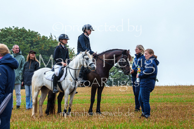 Jagd Kletkamp 26-02938_MarinaHewig | Fotografie, FotoArt, PferdesportArt, Pferdesportfotografie, Landschaftsfotografie, Reisefotografie, Reise, Pferde - Realisiert mit Pictrs.com