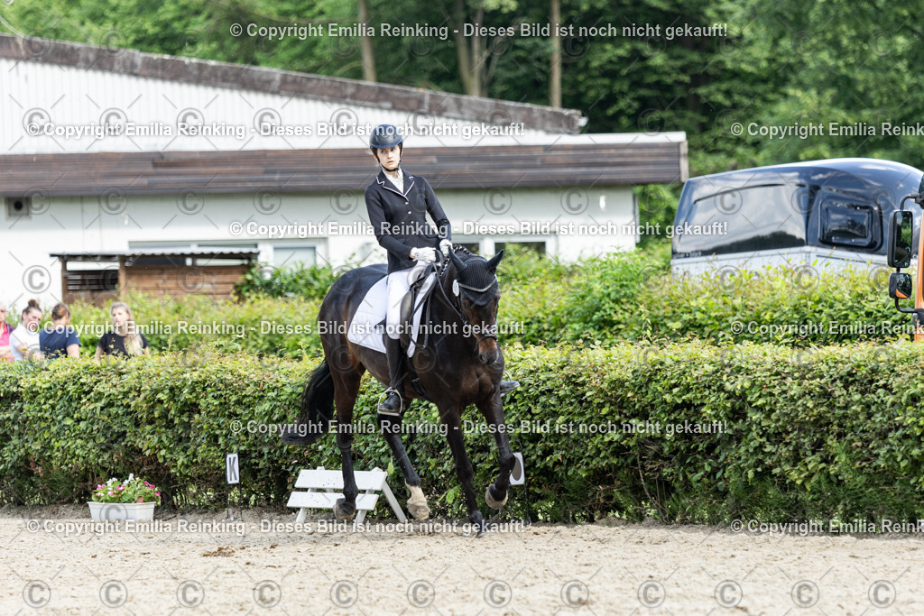 CL5A6110-2 | Emilia Reinking Fotografie - Realisiert mit Pictrs.com