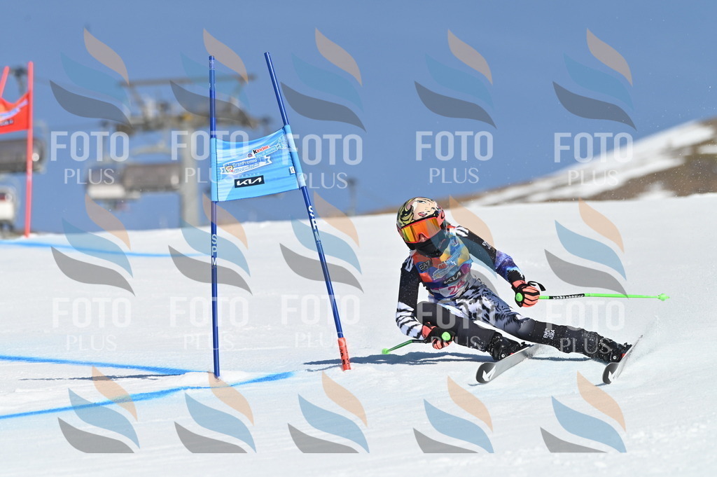 BGV_8026 | holidayphoto