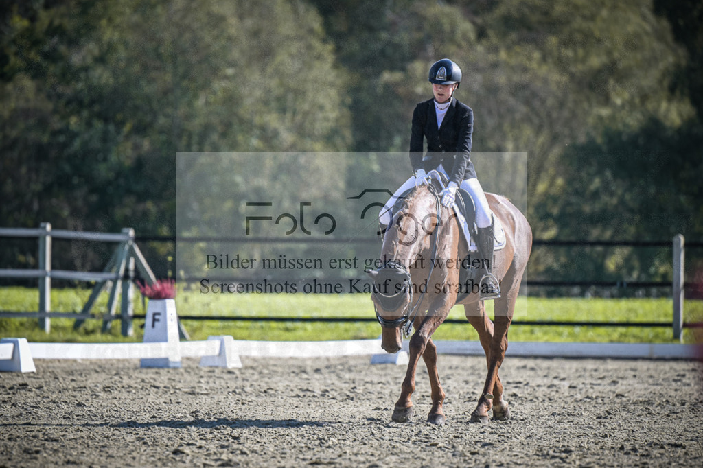 DOS_3107 | Entdecke hochwertige Reitturnierfotos von Foto Oger. Professionell, emotional und authentisch – jetzt Lieblingsmomente im Shop bestellen.Deutschlandweite Turnierfotografie. - Realisiert mit Pictrs.com