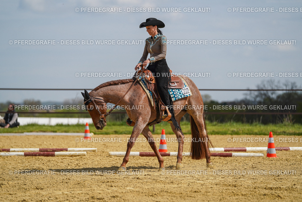 DSC04938 | Pferdegrafie